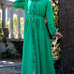 Green Decent Dress