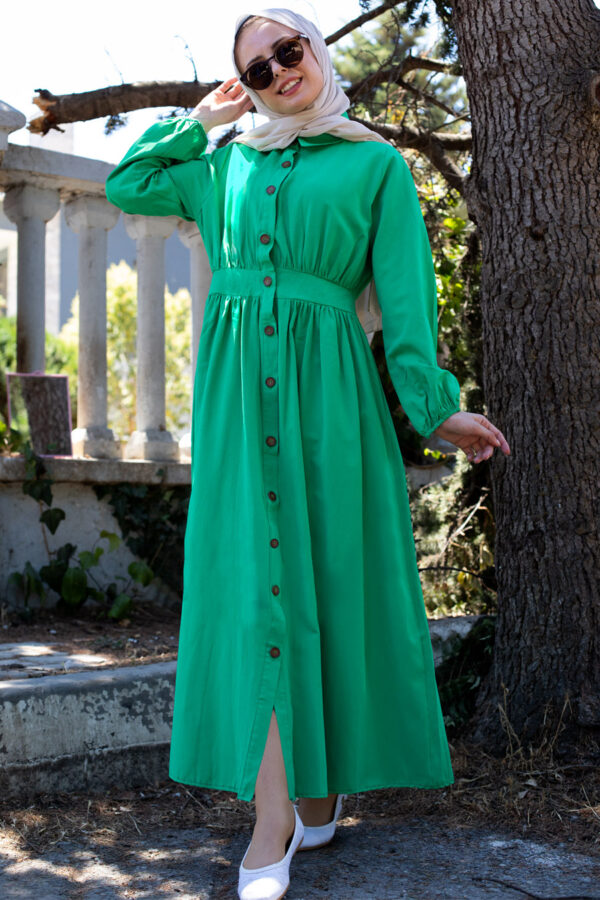 Green Decent Dress